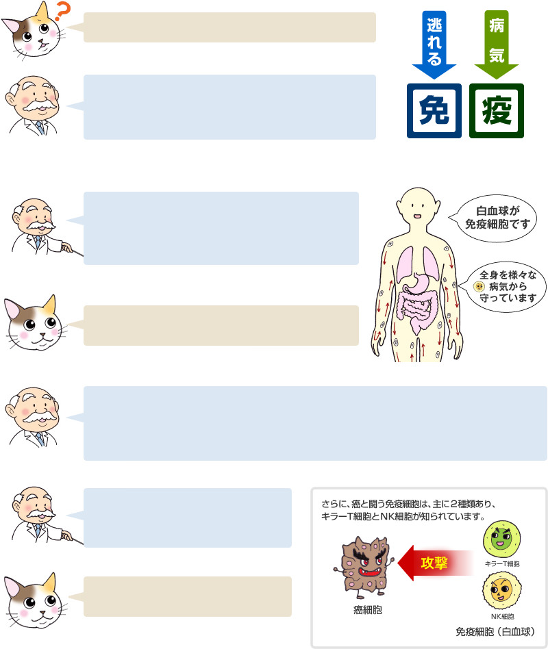 癌と闘う免疫細胞はキラーＴ細胞とＮＫ細胞が知られています。