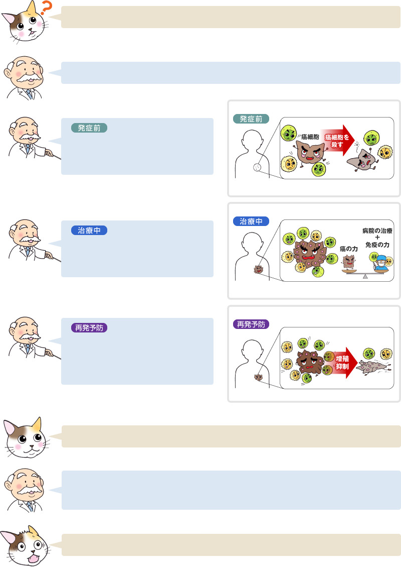 癌発症前・癌治療中・癌再発予防