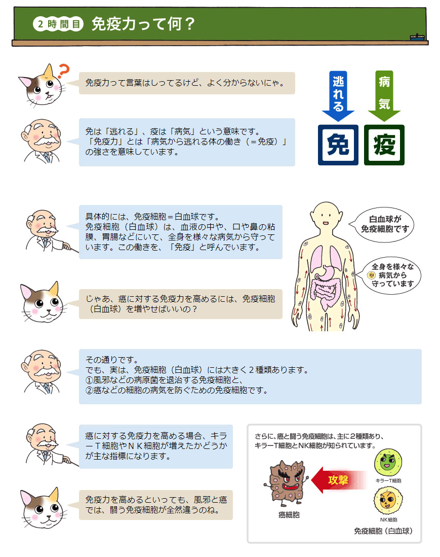 【2時間目 免疫力って何？】

免疫力って言葉はしってるけど、よく分からないにゃ。
免は「逃れる」、疫は「病気」という意味です。
「免疫力」とは「病気から逃れる体の働き（＝免疫）」の強さを意味しています。
具体的には、免疫細胞＝白血球です。
免疫細胞（白血球）は、血液の中や、口や鼻の粘膜、胃腸などにいて、全身を様々な病気から守っています。この働きを、「免疫」と呼んでいます。
じゃあ、癌に対する免疫力を高めるには、免疫細胞（白血球）を増やせばいいの？
その通りです。
でも、実は、免疫細胞（白血球）には大きく２種類あります。
①風邪などの病原菌を退治する免疫細胞と、
②癌などの細胞の病気を防ぐための免疫細胞です。
癌に対する免疫力を高める場合、キラーＴ細胞やＮＫ細胞が増えたかどうかが主な指標になります。
免疫力を高めるといっても、風邪と癌では、闘う免疫細胞が全然違うのね。

白血球が免疫細胞です。全身を様々な病気から守っています。
さらに癌と闘う免疫細胞は、主に２種類あり、キラーＴ細胞とＮＫ細胞が知られています。