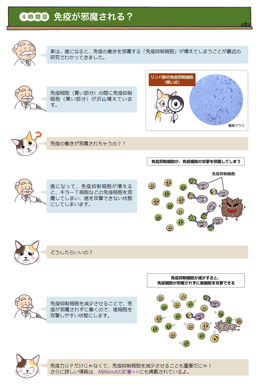 【4時間目 免疫が邪魔される？】
実は、癌になると、免疫の働きを邪魔する「免疫抑制細胞」が増えてしまうことが最近の研究でわかってきました。
免疫細胞（青い部分）の間に免疫抑制細胞（黒い部分）が沢山増えています。
免疫の働きが邪魔されちゃうの？！
癌になって、免疫抑制細胞が増えると、キラーＴ細胞などの免疫細胞を邪魔してしまい、癌を攻撃できない状態にしてしまいます。どうしたらいいの？免疫抑制細胞を減少させることで、免疫が邪魔されずに働くので、癌細胞を攻撃しやすい状態にします。免疫力ＵＰだけじゃなくて、免疫抑制細胞を減少させることも重要だにゃ！
さらに詳しい情報は、AllAboutの記事にも掲載されているよ。免疫抑制細胞が減少すると、免疫細胞が邪魔されずに癌細胞を攻撃できる